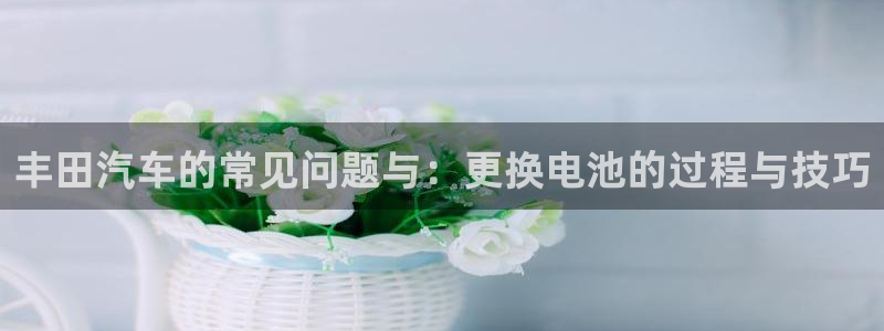 优发国际官网下载安装：丰田汽车的常见问题与：更换电池的过程与技巧