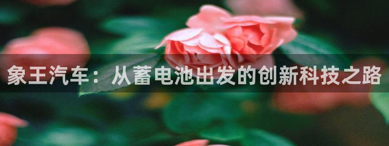 优发国际官方网手机版app：象王汽车：从蓄电池出发的创新科技之路