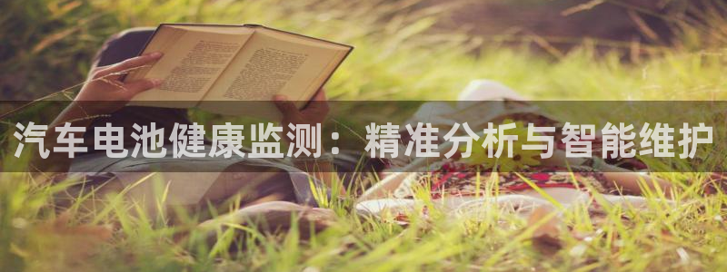 优发国际平台app下载：汽车电池健康监测：精准分析与智能维护