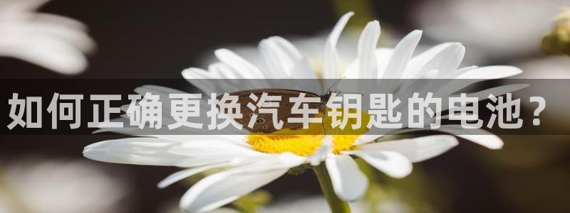 优发国际线上娱官网