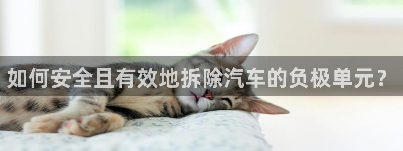 优发国际官网首页入口：如何安全且有效地拆除汽车的负极单元？