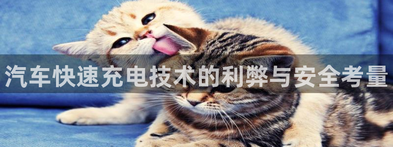 优发国际客服联系方式查询：汽车快速充电技术的利弊与安全考量