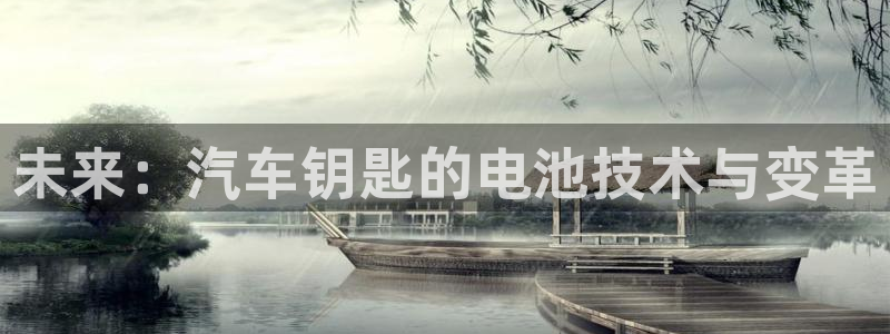 优发国际平台手机版下载官网：未来：汽车钥匙的电池技术与变革