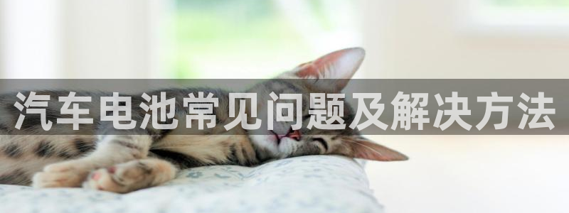 优发国际合并到哪里了