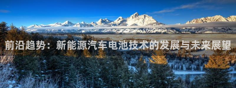 优发国际是大平台吗还是小平：前沿趋势：新能源汽车电池技术的发展与未来展望