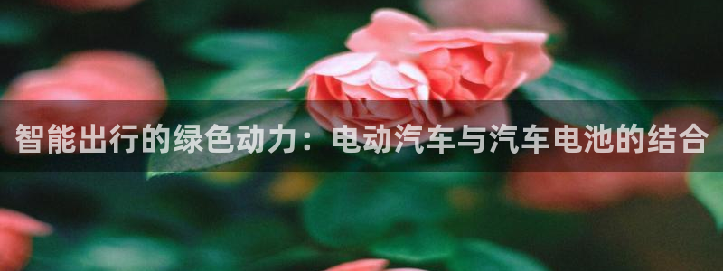 优发国际多少钱