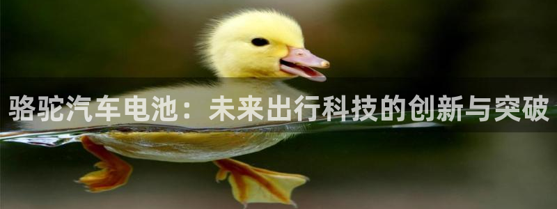 优发国际游戏17岁能玩吗：骆驼汽车电池：未来出行科技的创新与突破