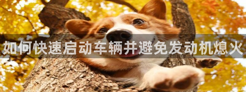 优发国际的官网是什么软件：如何快速启动车辆并避免发动机熄火