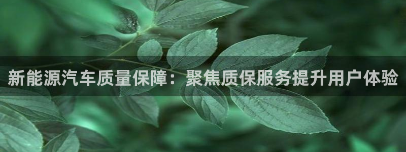 优发国际手机app下载安装苹果：新能源汽车质量保障：聚焦质保服务提升用户体验