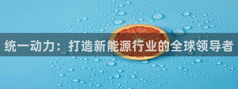 优发国际登录首页怎么设置：统一动力：打造新能源行业的全球领导者