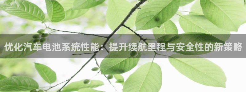 优发国际官网值是多少：优化汽车电池系统性能：提升续航里程与安全性的新策略