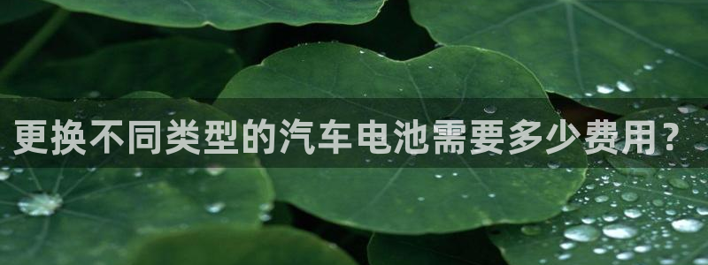 优发国际官网是多少号码：更换不同类型的汽车电池需要多少费用？