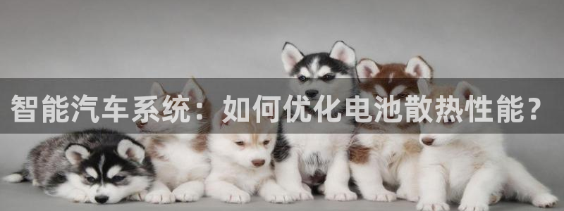 优发国际官网首页入口：智能汽车系统：如何优化电池散热性能？