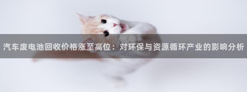 优发国际是大平台吗还是小平