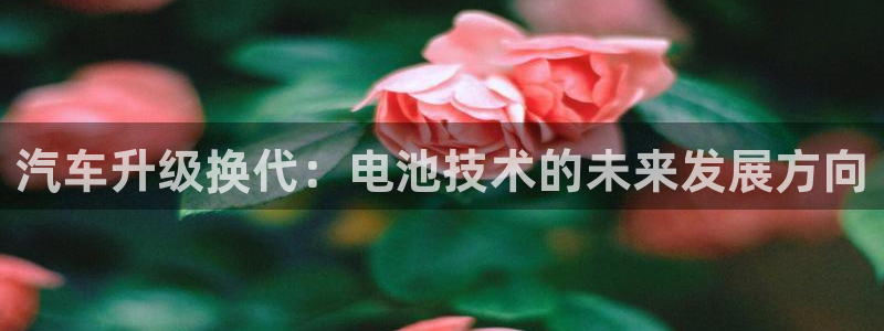 优发国际youfa