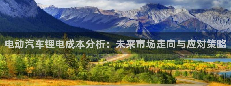 优发国际多少钱：电动汽车锂电成本分析：未来市场走向与应对策略