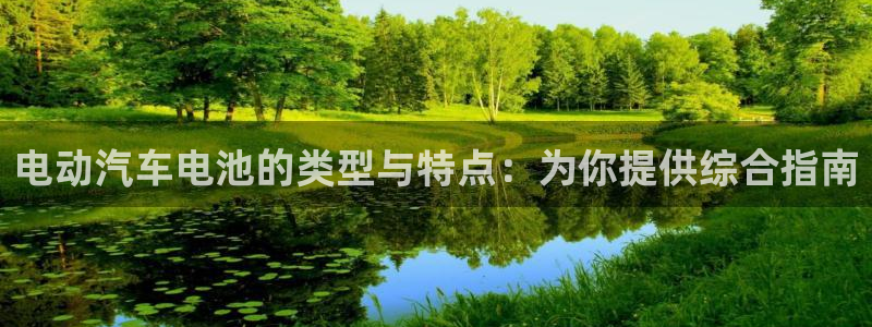 优发国际的官网是正品吗：电动汽车电池的类型与特点：为你提供综合指南