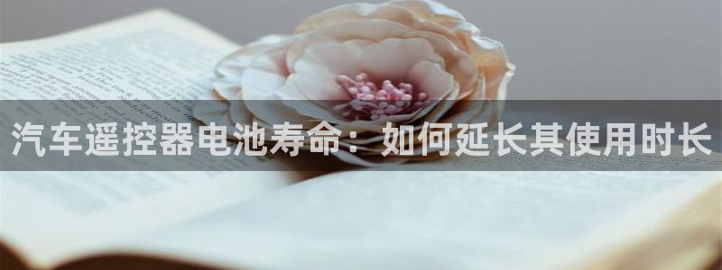 优发国际手机版：汽车遥控器电池寿命：如何