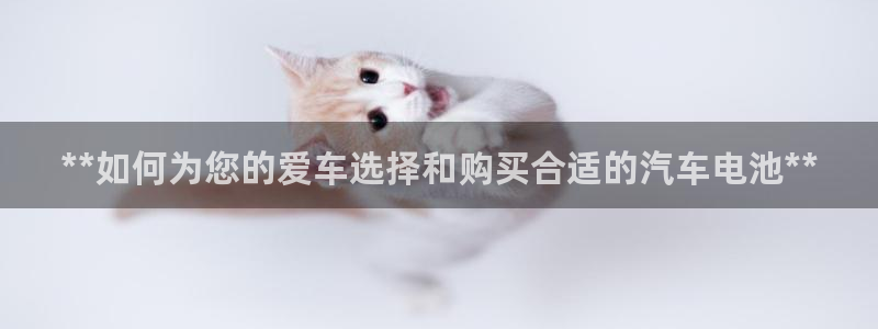 优发国际平台APP