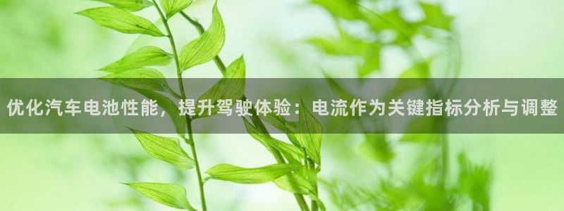 优发国际平台18岁能做吗：优化汽车电池性能，提升驾驶体验：电流作为关键指标分析与调整