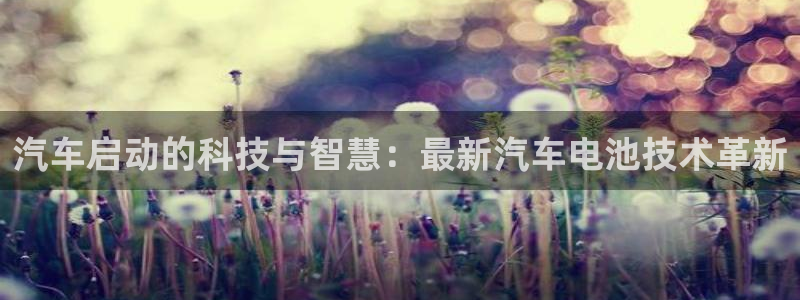 优发国际VIP网址