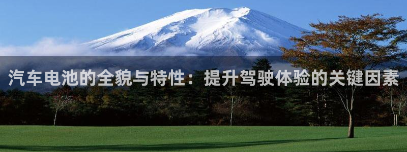 优发国际游戏网站：汽车电池的全貌与特性：提升驾驶体验的关键因素
